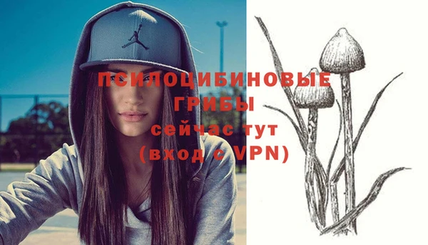 МДПВ Алзамай