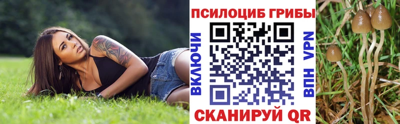 Псилоцибиновые грибы мухоморы  Балабаново 